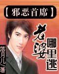 邪惡首席之老婆哪裏逃